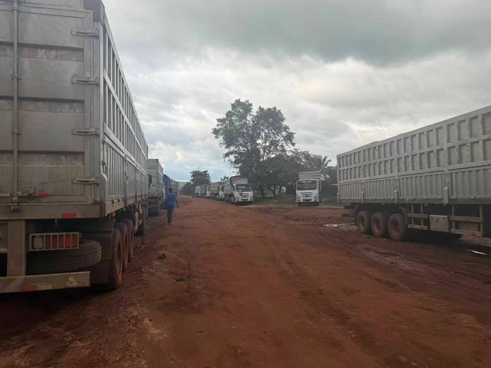 HOWO cargo fleet operating on African road conditions