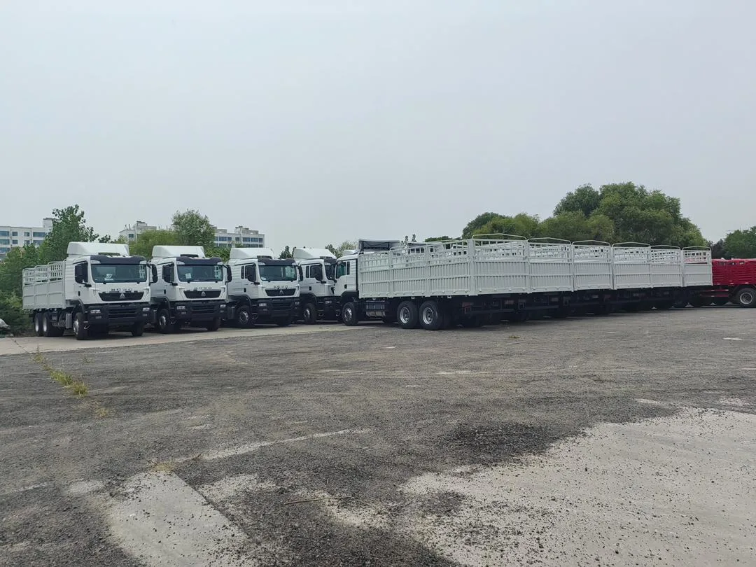HOWO cargo truck fleet prepared for project delivery